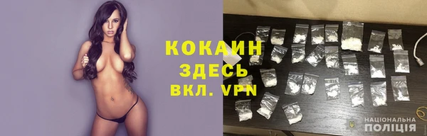 индика Алексеевка