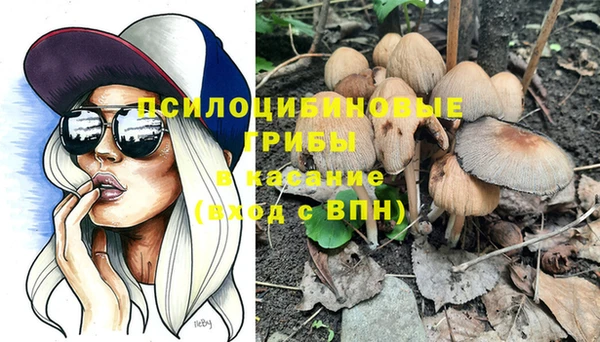 индика Алексеевка