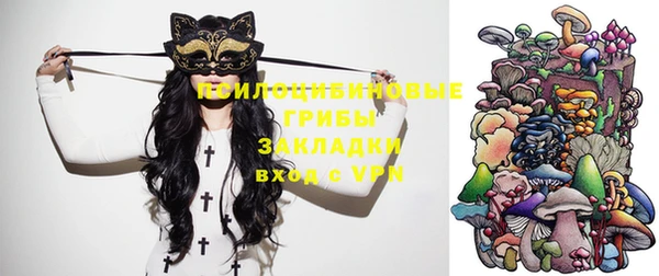 ешки Алексин