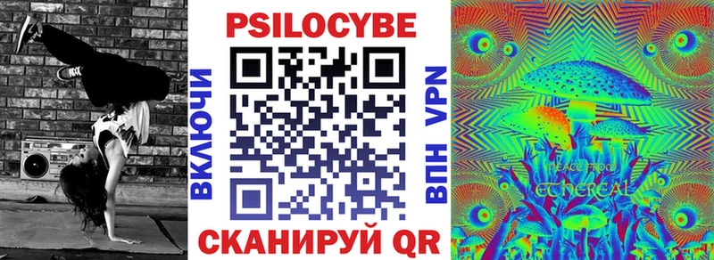дарнет шоп  Электрогорск  мориарти формула  Псилоцибиновые грибы Psilocybe  кракен tor 